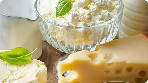 Dairy