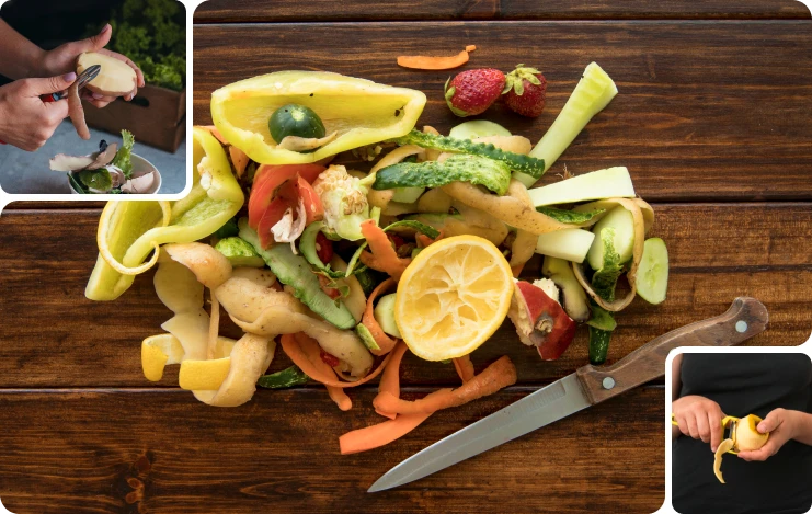 Alimentos